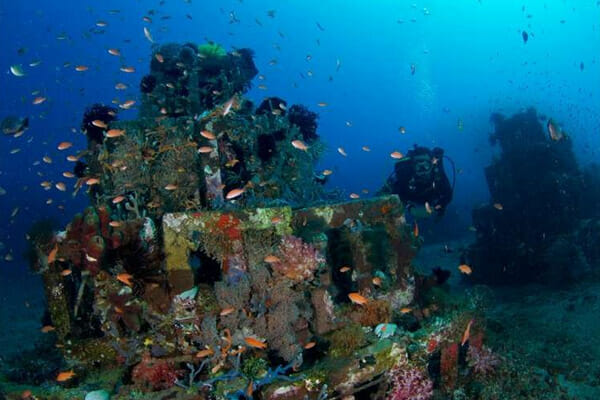 free nitrox course in Bali