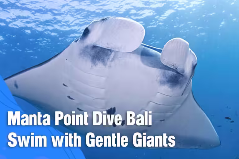Manta Point Dive Bali