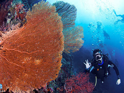scuba diving bali