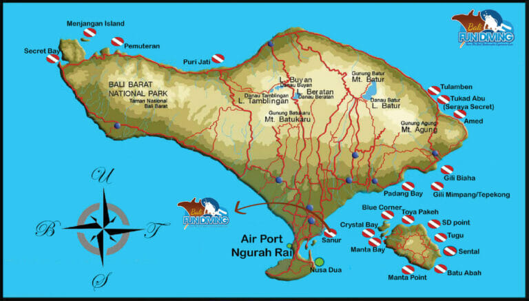 Scuba Diving best deal