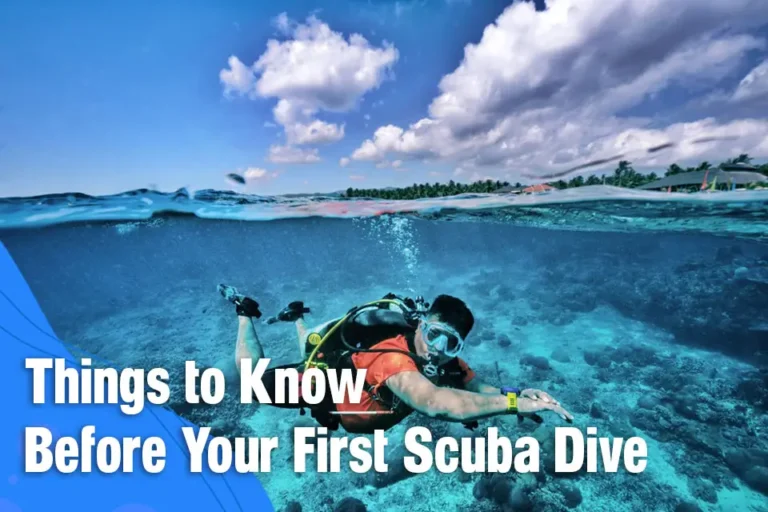 Things to Know Before Your First Scuba Dive