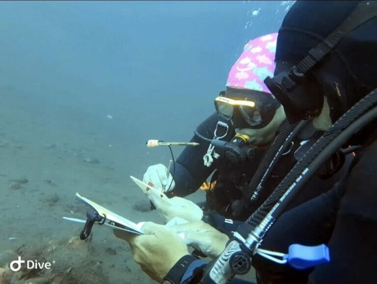 Do You Really Need Your Own Dive Computer ?