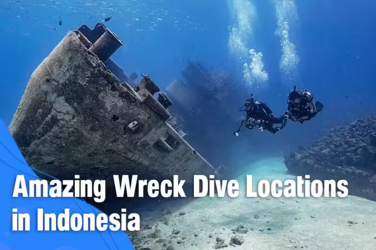 Amazing Wreck Dive Locations in Indonesia