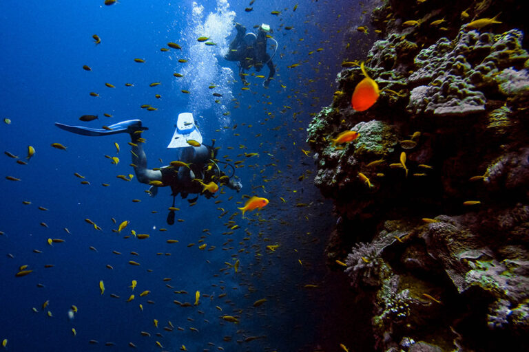 Become a Dive Master