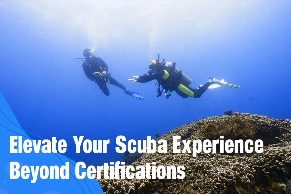 Elevate Your Scuba Experience Beyond Certifications