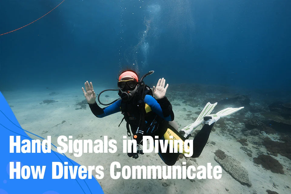 Hand Signals in Diving: How Divers Communicate Below the Surface