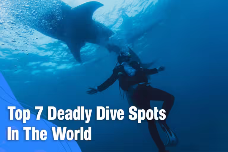Top 7 Deadly Dive Spots In The World