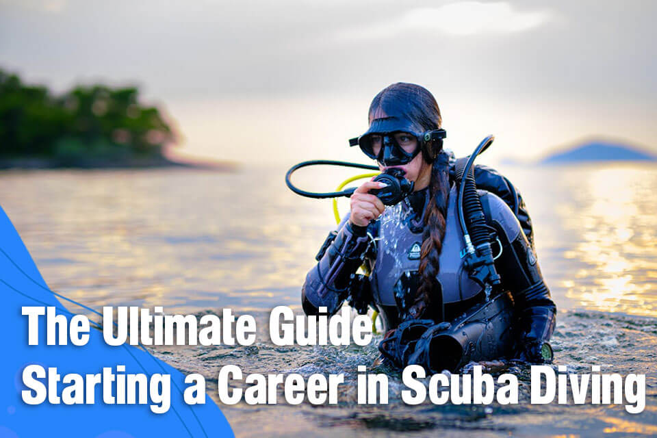 Starting a Career in Scuba Diving