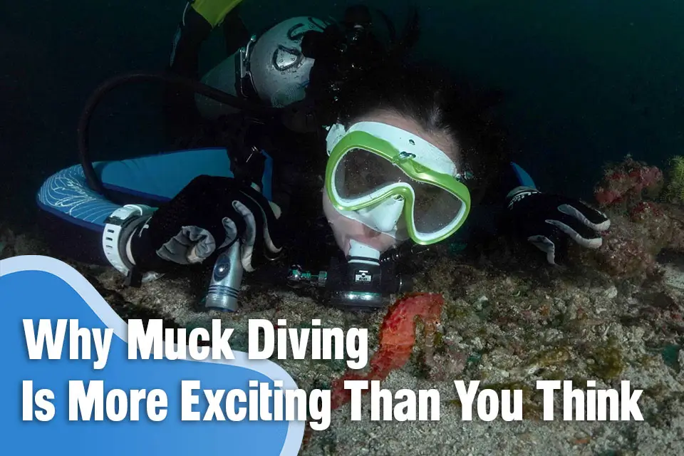Why Muck Diving Is More Exciting Than You Think