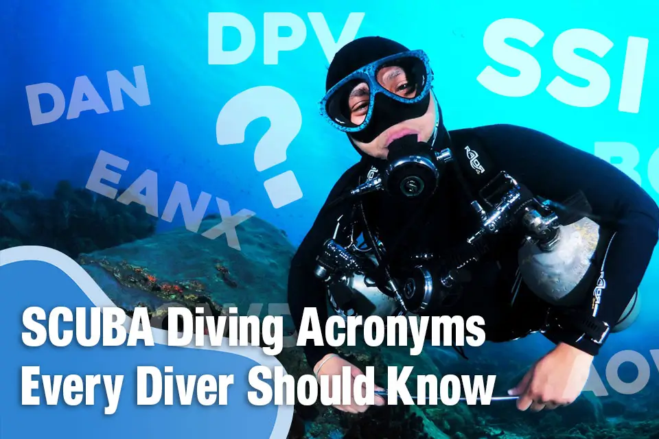 Essential SCUBA Diving Acronyms Every Diver Should Know