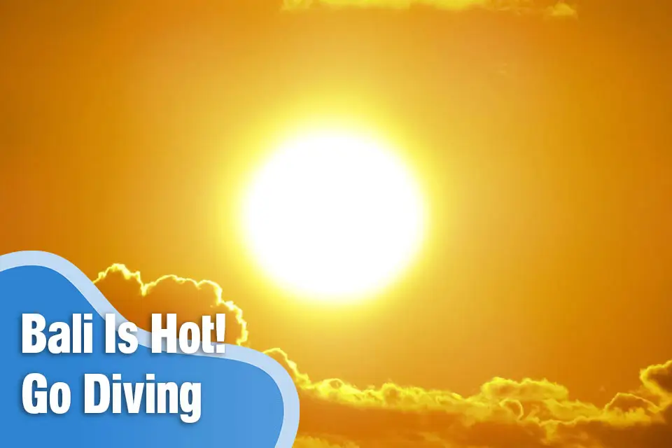 Bali Is Hot! Cool Down the Best Way Go Diving