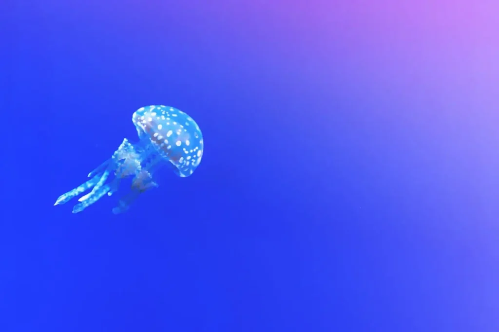 Bioluminescent Jellyfish