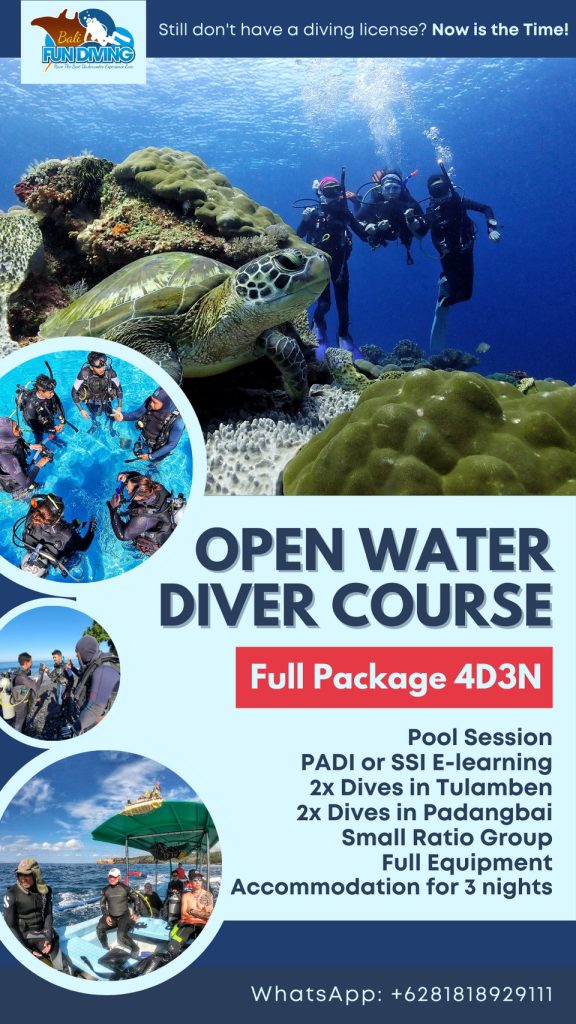 Open Water course Bali package promotion