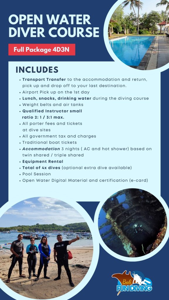 Open Water course Bali package promotion