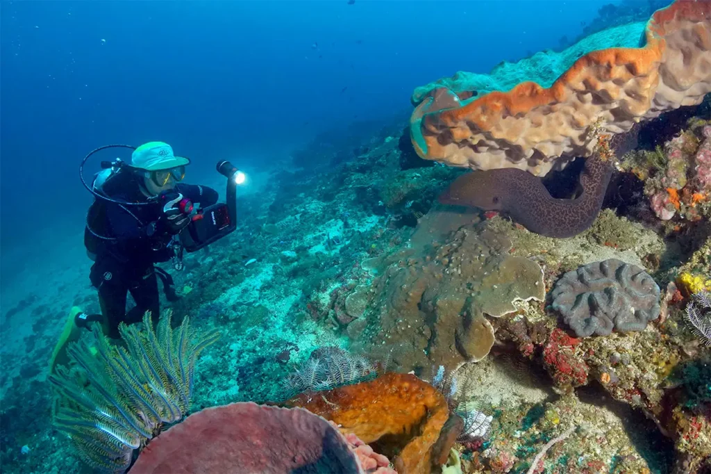 Underwater Photography Bali