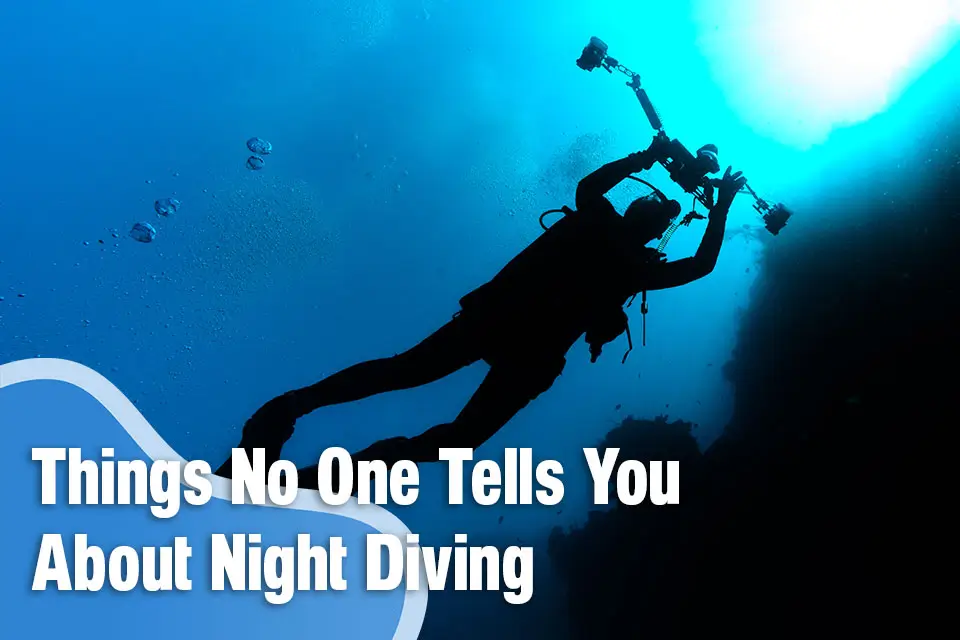 Things No One Tells You About Night Diving Until You Try It