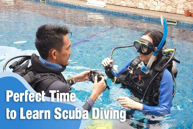 Why Now Is the Perfect Time to Learn Scuba Diving