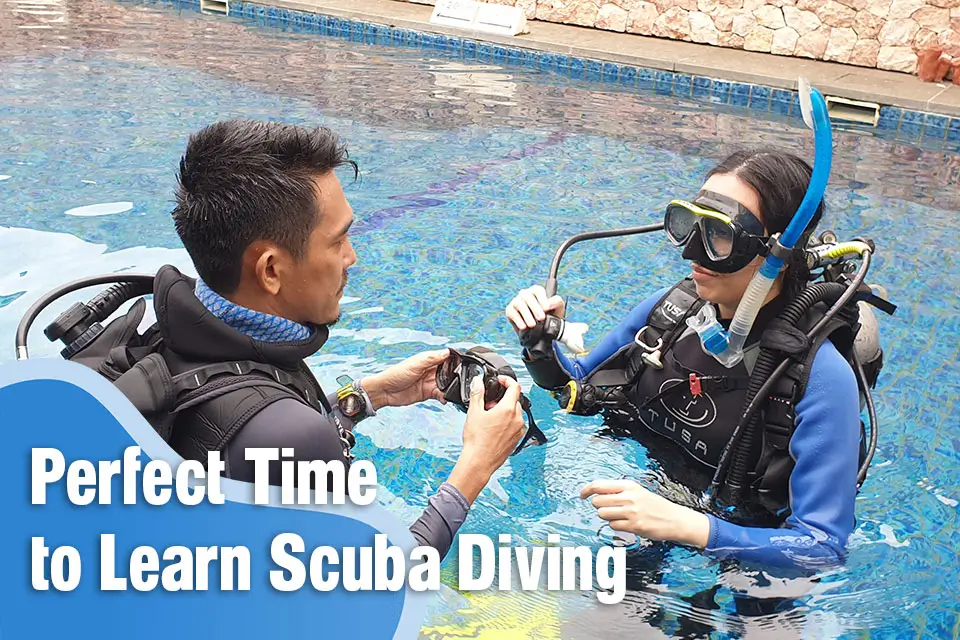 Why Now Is the Perfect Time to Learn Scuba Diving