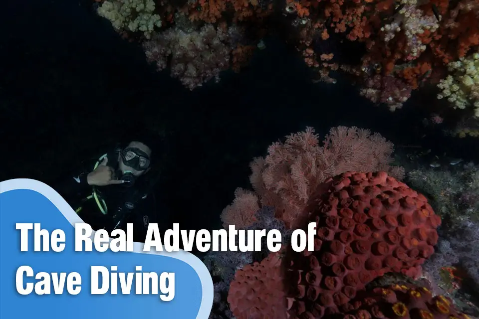 The Real Adventure of cave diving