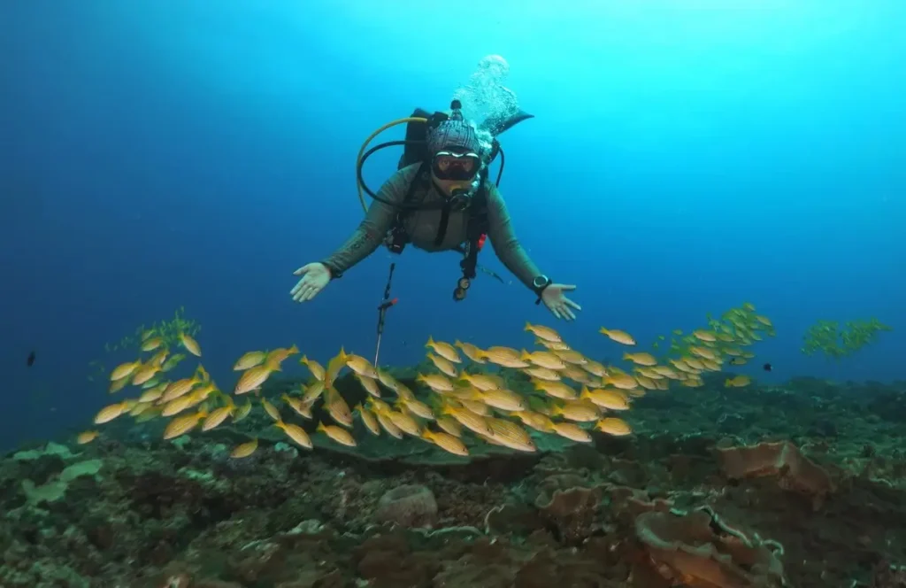 Discovering the Seaโs Lessons