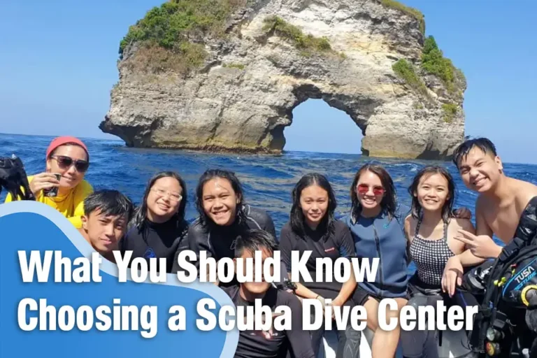 What You Should Know Before Choosing a Scuba Dive Center