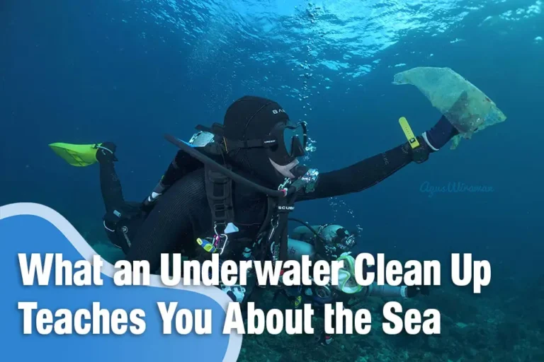 What an Underwater Clean Up Teaches You About the Sea