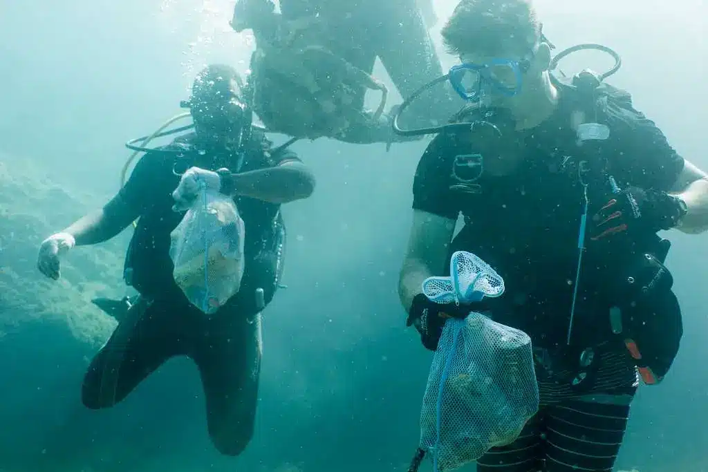 Gaining Practical Knowledge for Future Dives