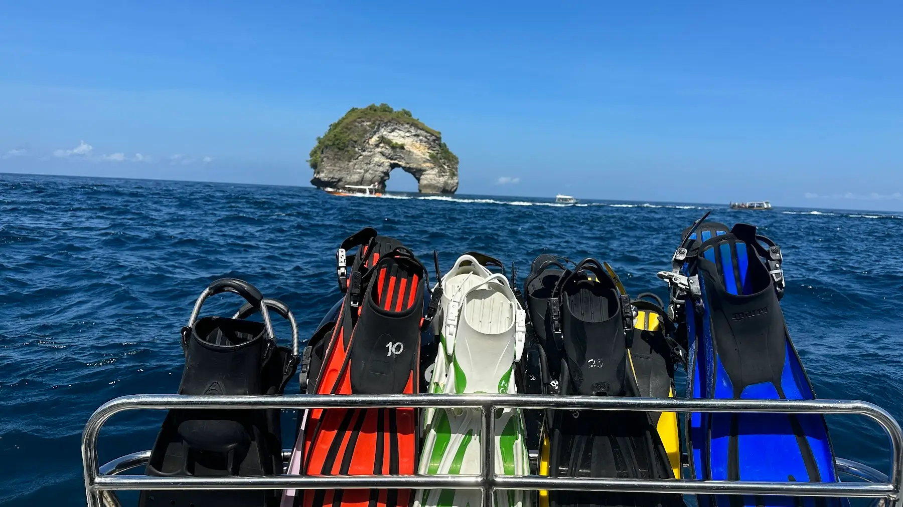 Diving Fins
