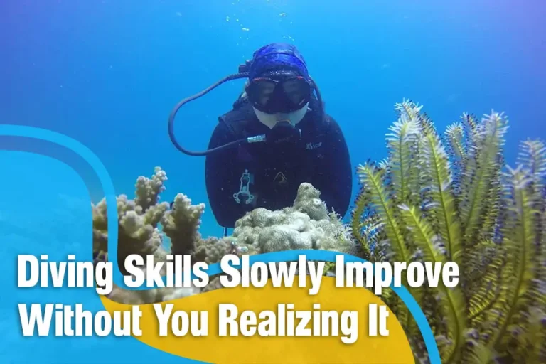 How Your Diving Skills Slowly Improve Without You Realizing It