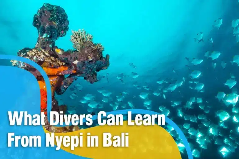What Divers Can Learn From Nyepi in Bali