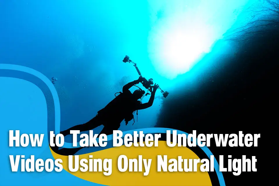 How to Take Better Underwater Videos Using Only Natural Light
