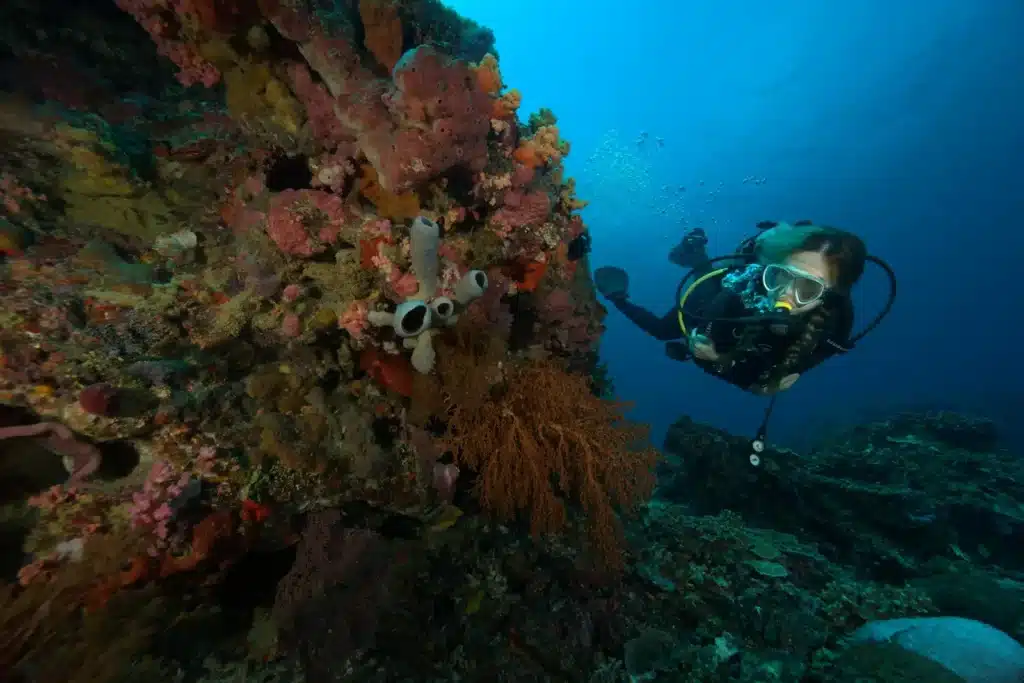 Scuba diver exploring a healthy coral reef during a daytime dive in Bali with colorful corals and clear blue water.