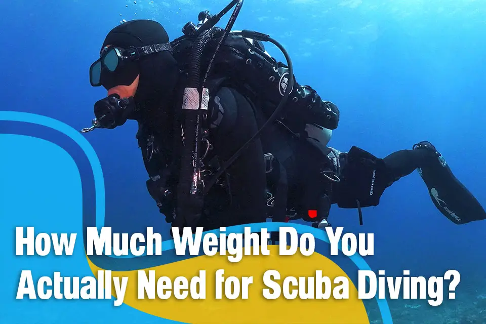 How Much Weight Do You Actually Need for Scuba Diving