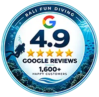 Bali Fun Diving Google Reviews