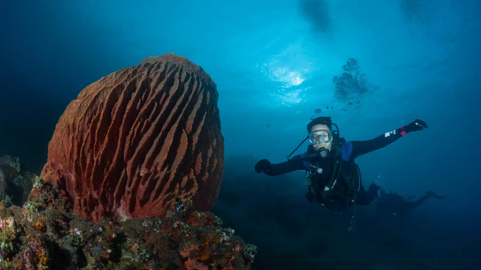 Scuba diver wearing a mask, regulator, BCD and fins beside a barrel sponge in Tulamben