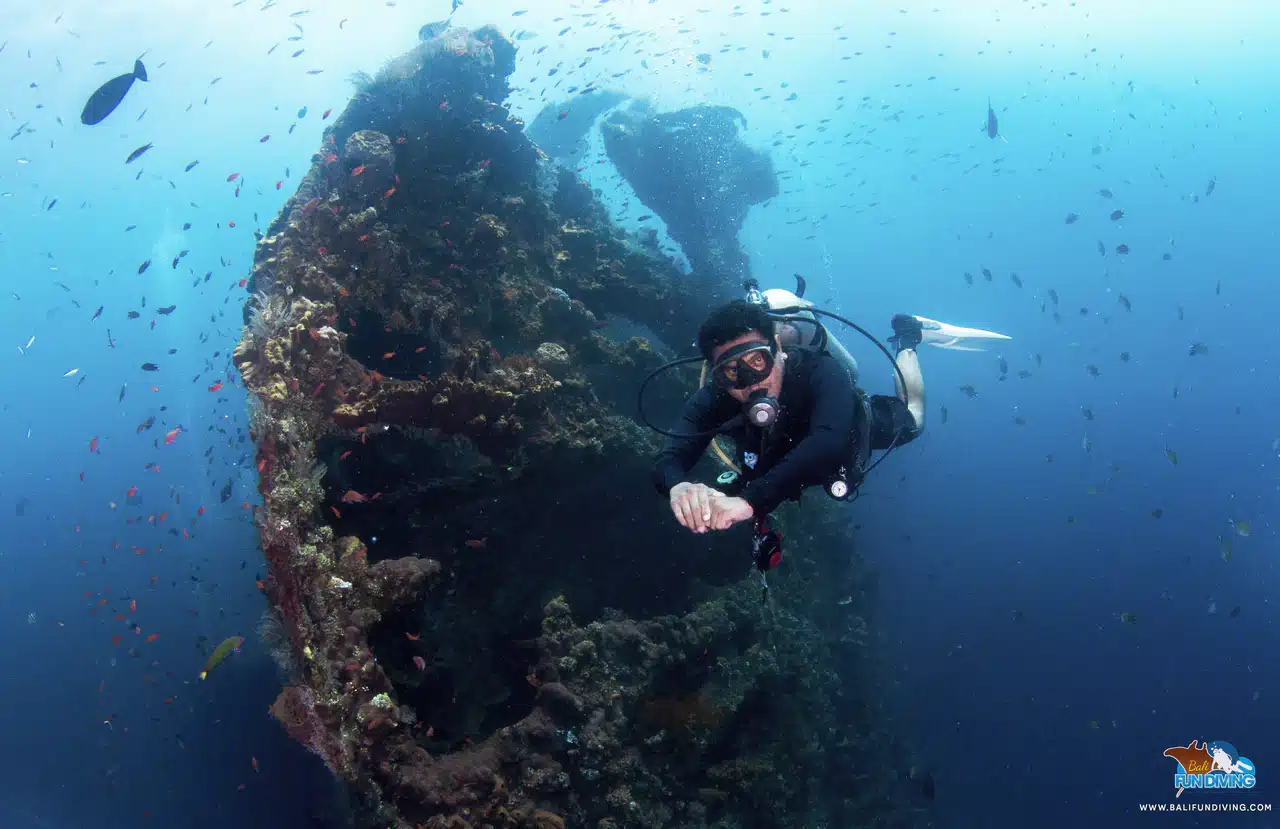 Scuba diver swimming alongside a coral-covered shipwreck surrounded by small fish underwater